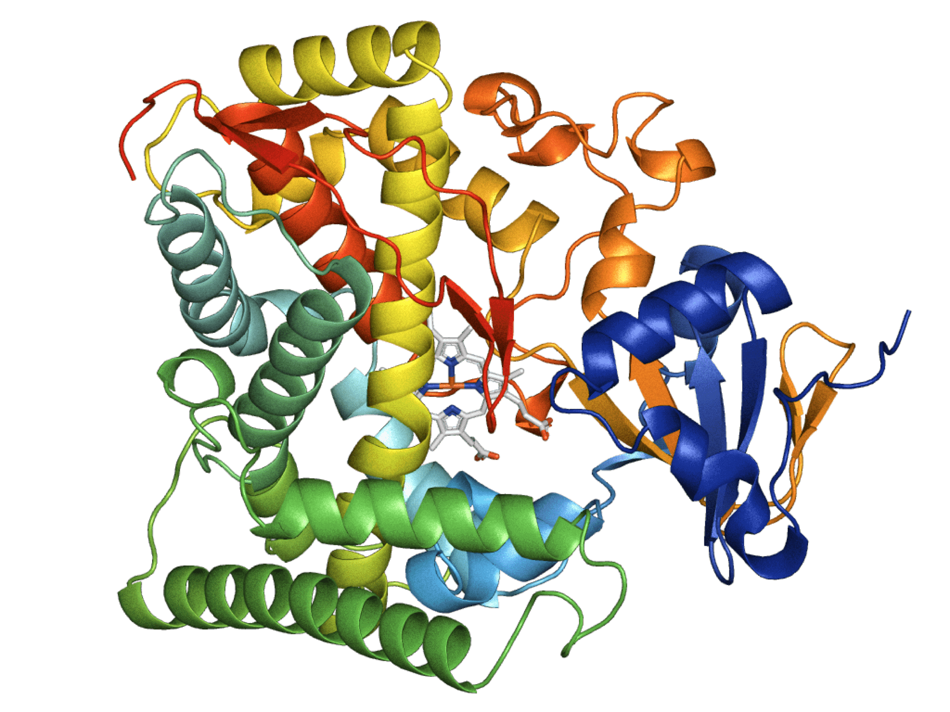 SolidPhase DNA Synthesis The Future of Protein Engineering Twist